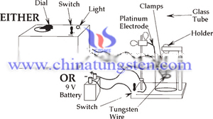 Tungsten Needle Picture